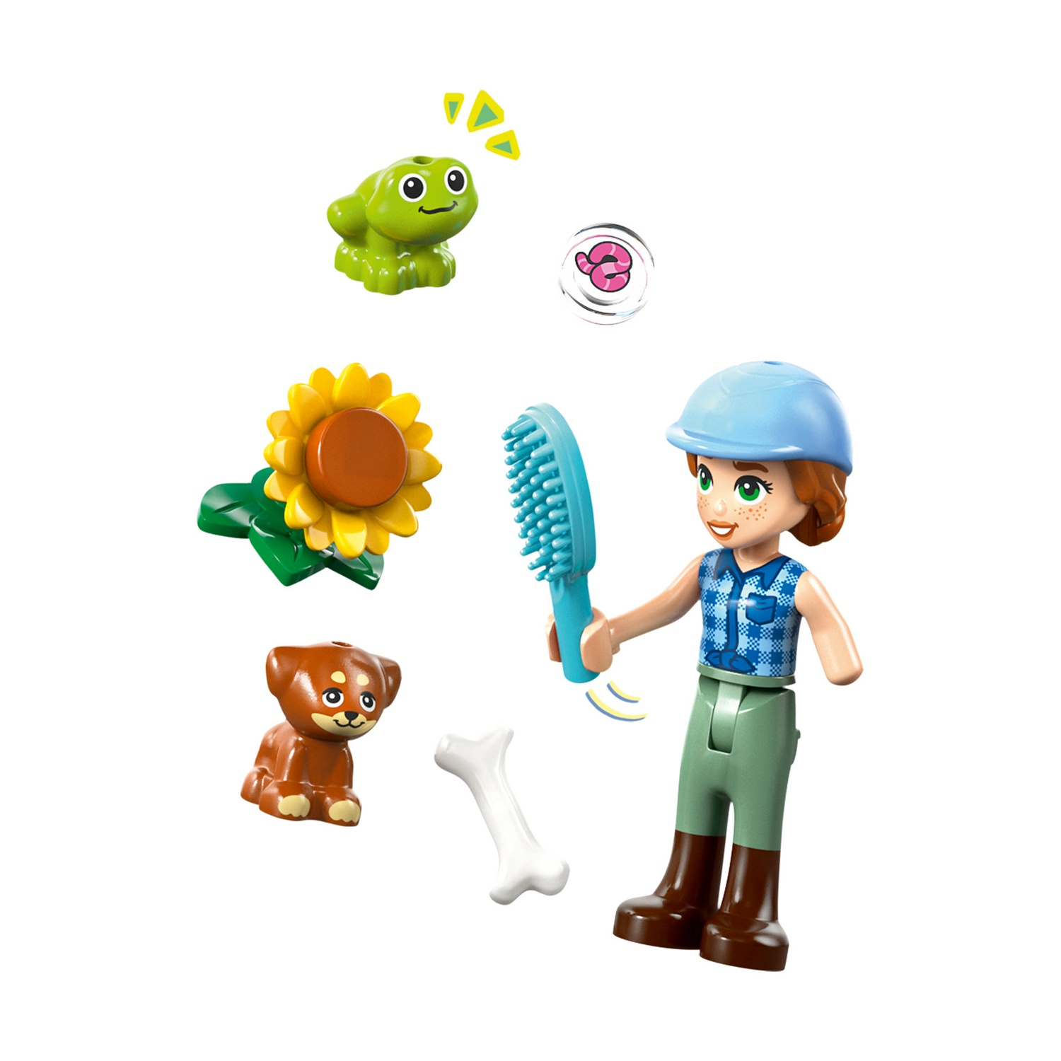Una figura Lego tiene in mano una spazzola. C'è un cane, una rana, un girasole e un osso. La figura indossa un casco blu e pantaloni verdi.