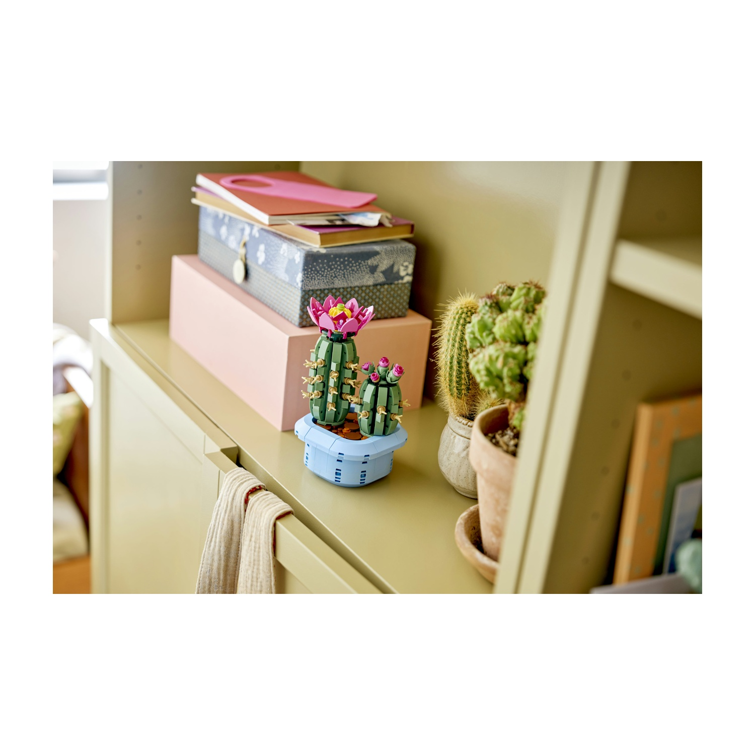 Una mensola con cactus in vaso e un modello di cactus decorativo. Libri e scatole sullo sfondo, un asciugamano appeso in primo piano.