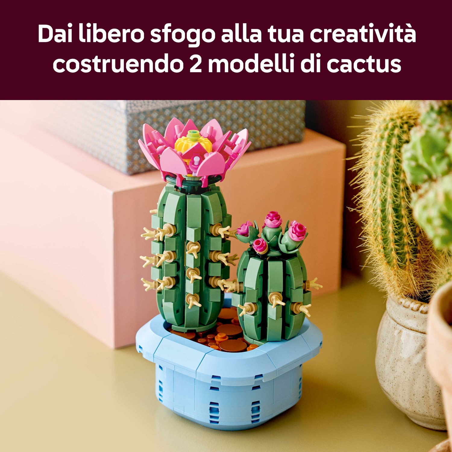 Due modelli di cactus Lego in un vaso blu. Uno alto con fiore rosa, l'altro piccolo con boccioli rosa. Altro cactus sullo sfondo.