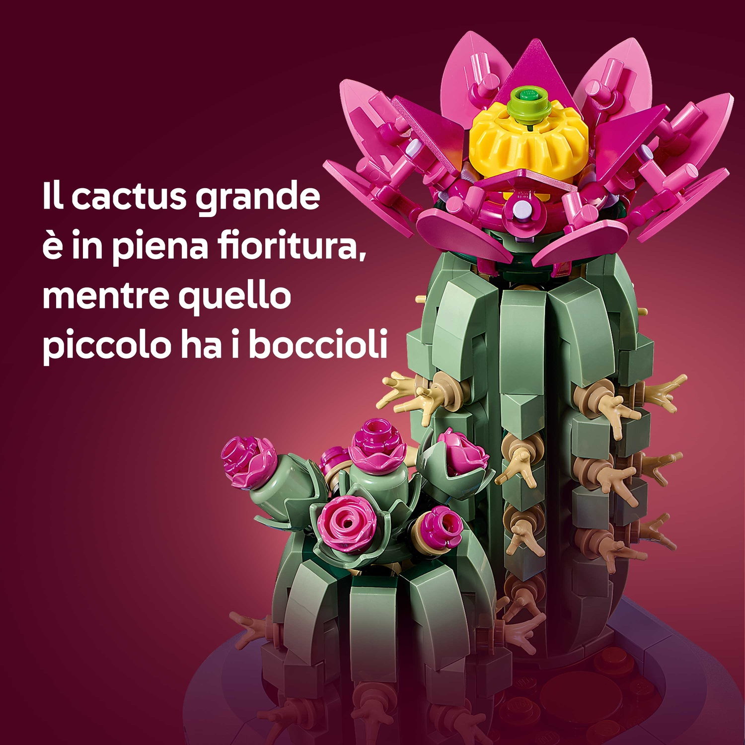 Un modello Lego di cactus con un grande fiore in fiore e uno più piccolo con boccioli, su sfondo rosso scuro.