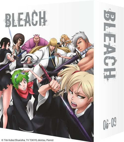 Couverture d'anime avec plusieurs personnages tenant des épées. Titre en gras 'BLEACH' en haut, personnages en tenues noir et blanc.