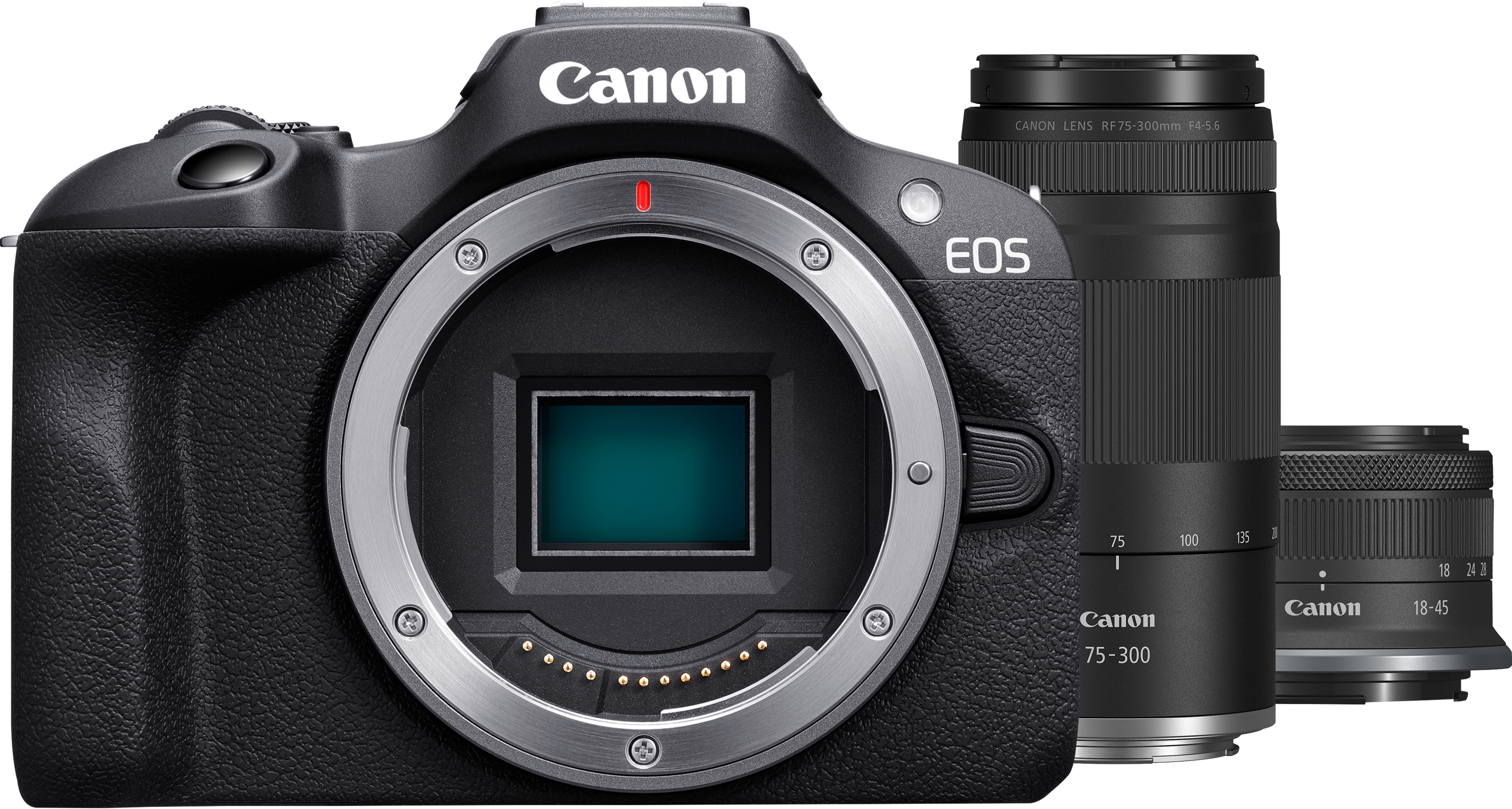Un appareil photo Canon EOS noir avec deux objectifs. L'appareil photo a une monture d'objectif et un écran. Les objectifs sont noirs avec du texte blanc.