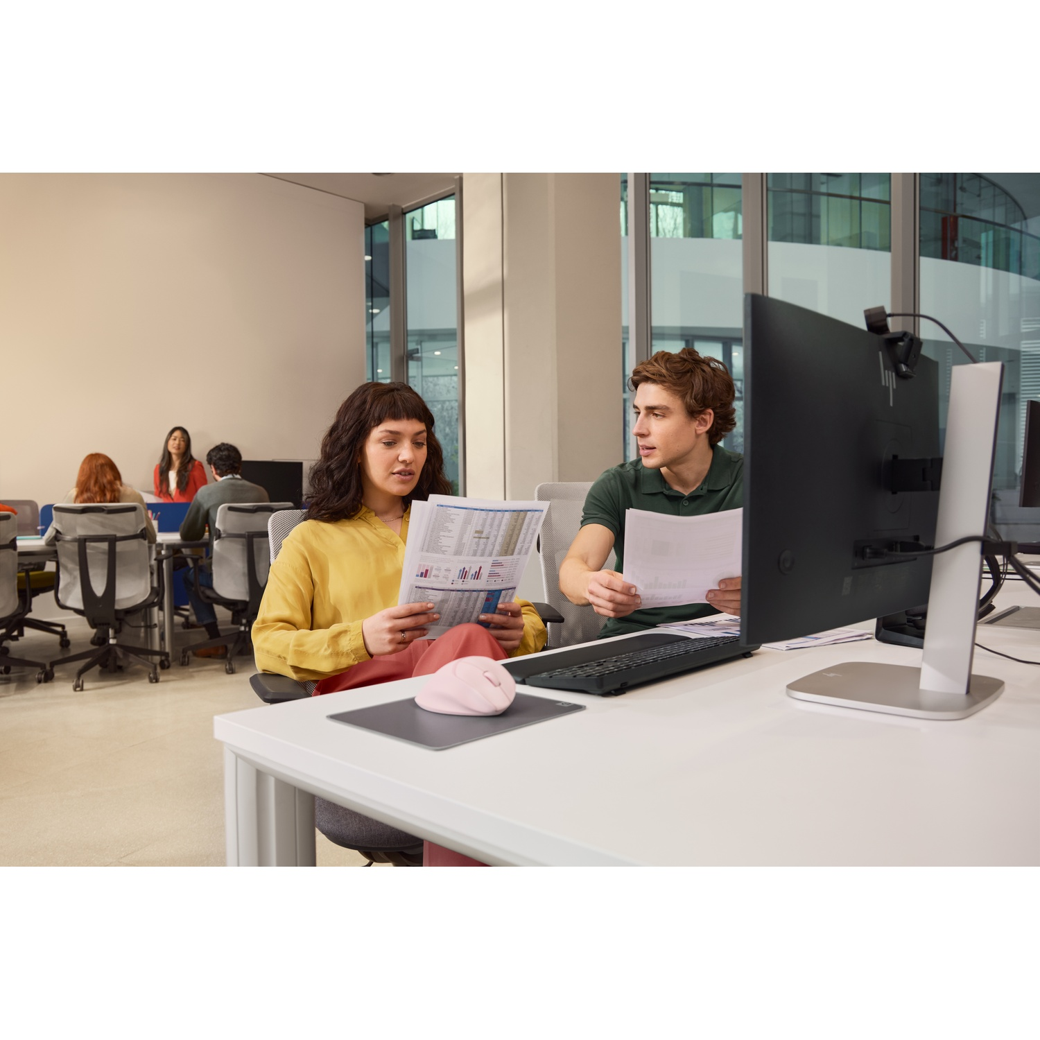 Deux personnes à des bureaux examinent des documents. Une femme en jaune, l'autre en vert. Une souris rose est sur un tapis.