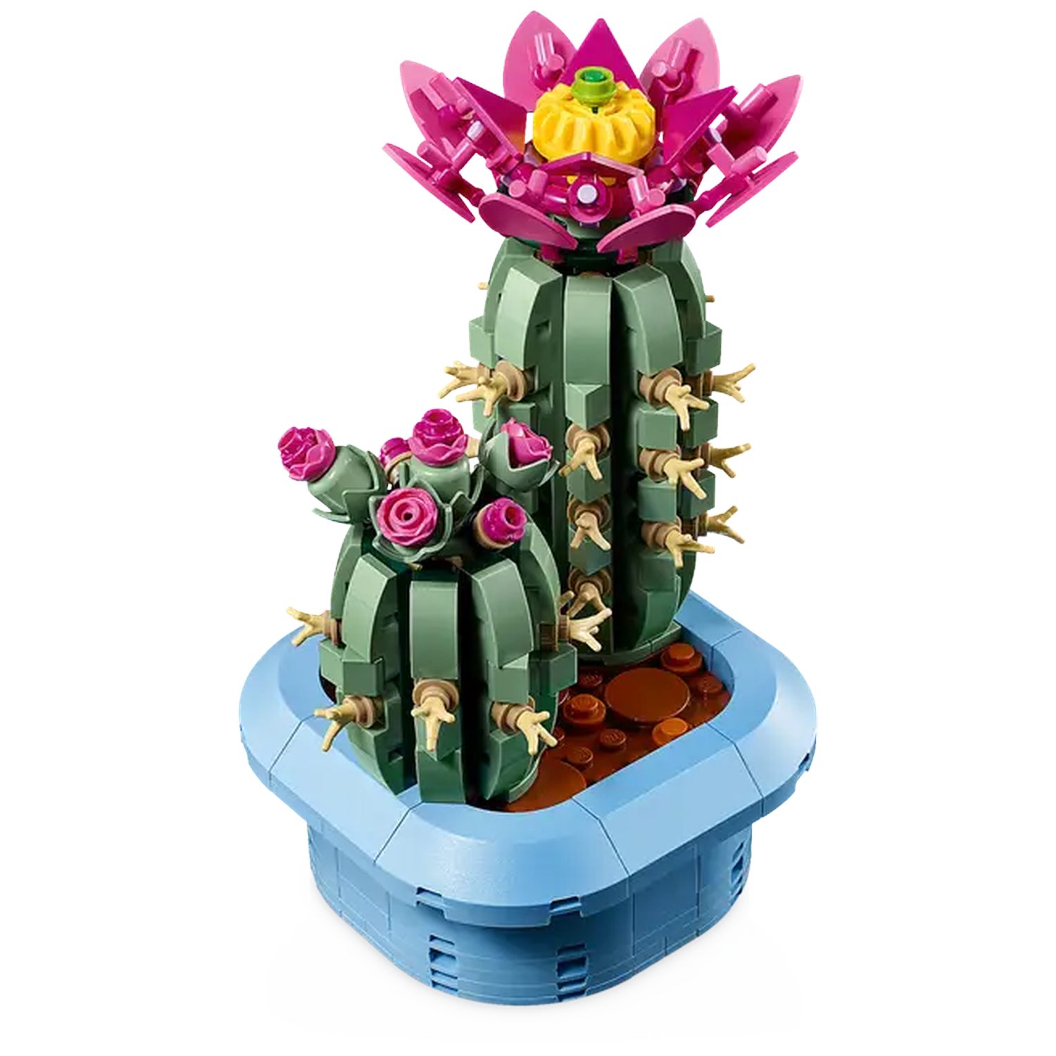 A Lego cactus plant with pink flowers and a yellow center, in a blue pot. The cactus is green. The pot is blue.
