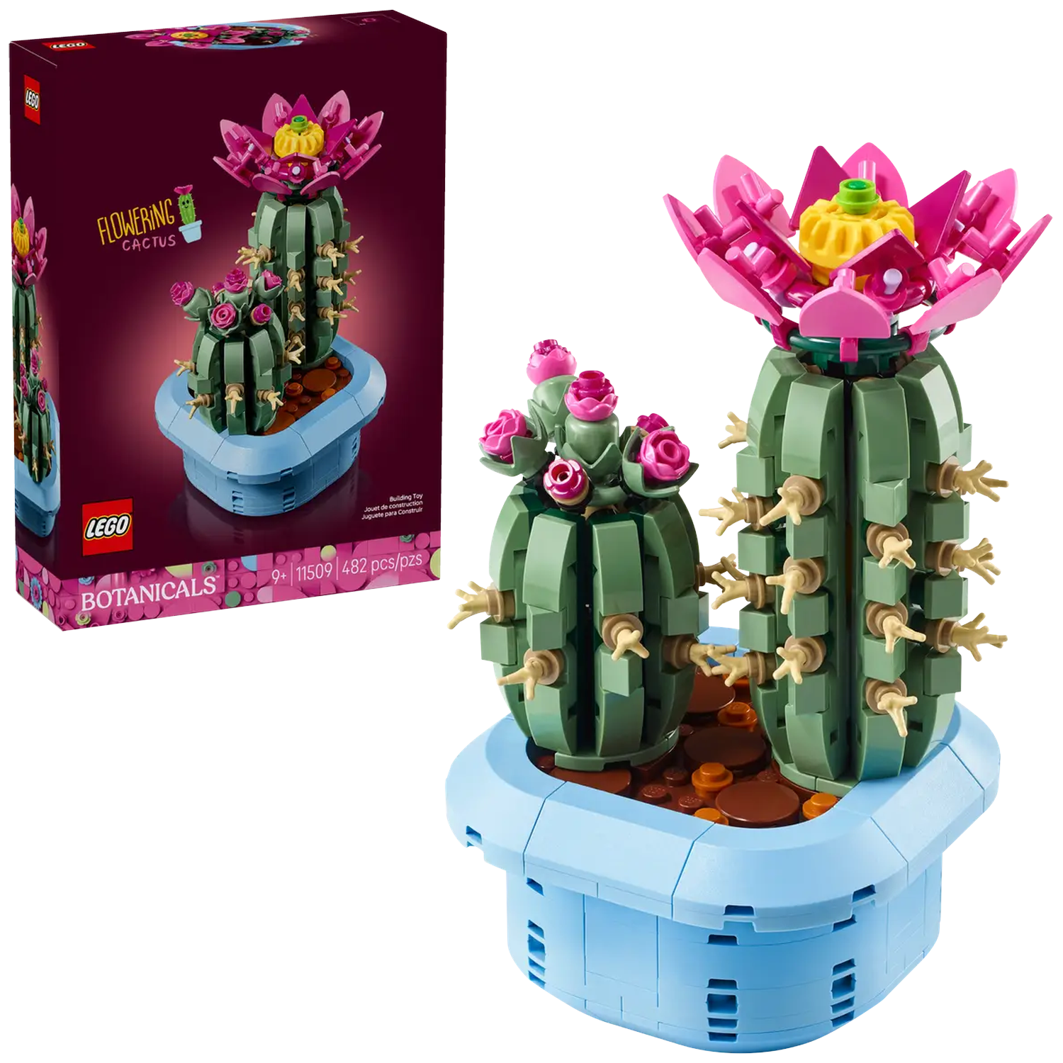 A Lego cactus set, with green cacti, pink flowers, and a blue pot. The box is in the background.