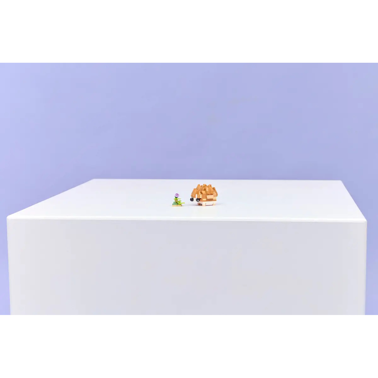 A white cube table holds a small toy hedgehog and a flower against a purple background.