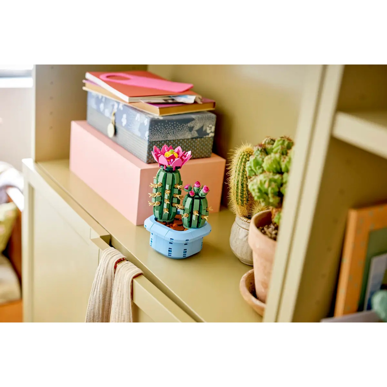 Une étagère présente un jeu de cactus LEGO, des livres et d'autres cactus en pots. Une serviette beige est suspendue sous l'étagère.