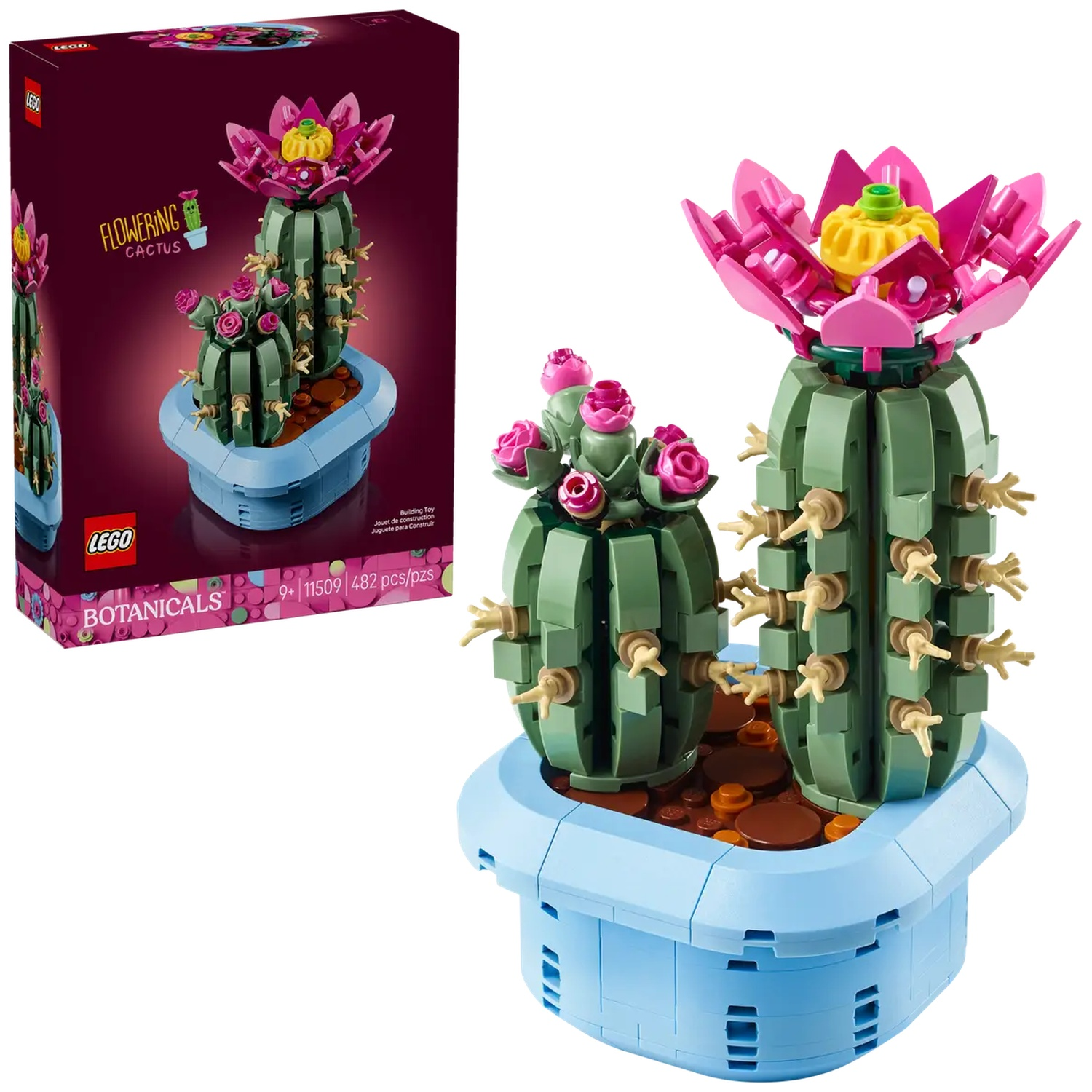 Un ensemble de cactus Lego, avec deux cactus verts à fleurs roses, dans un pot bleu. Une boîte avec l'ensemble est à gauche.