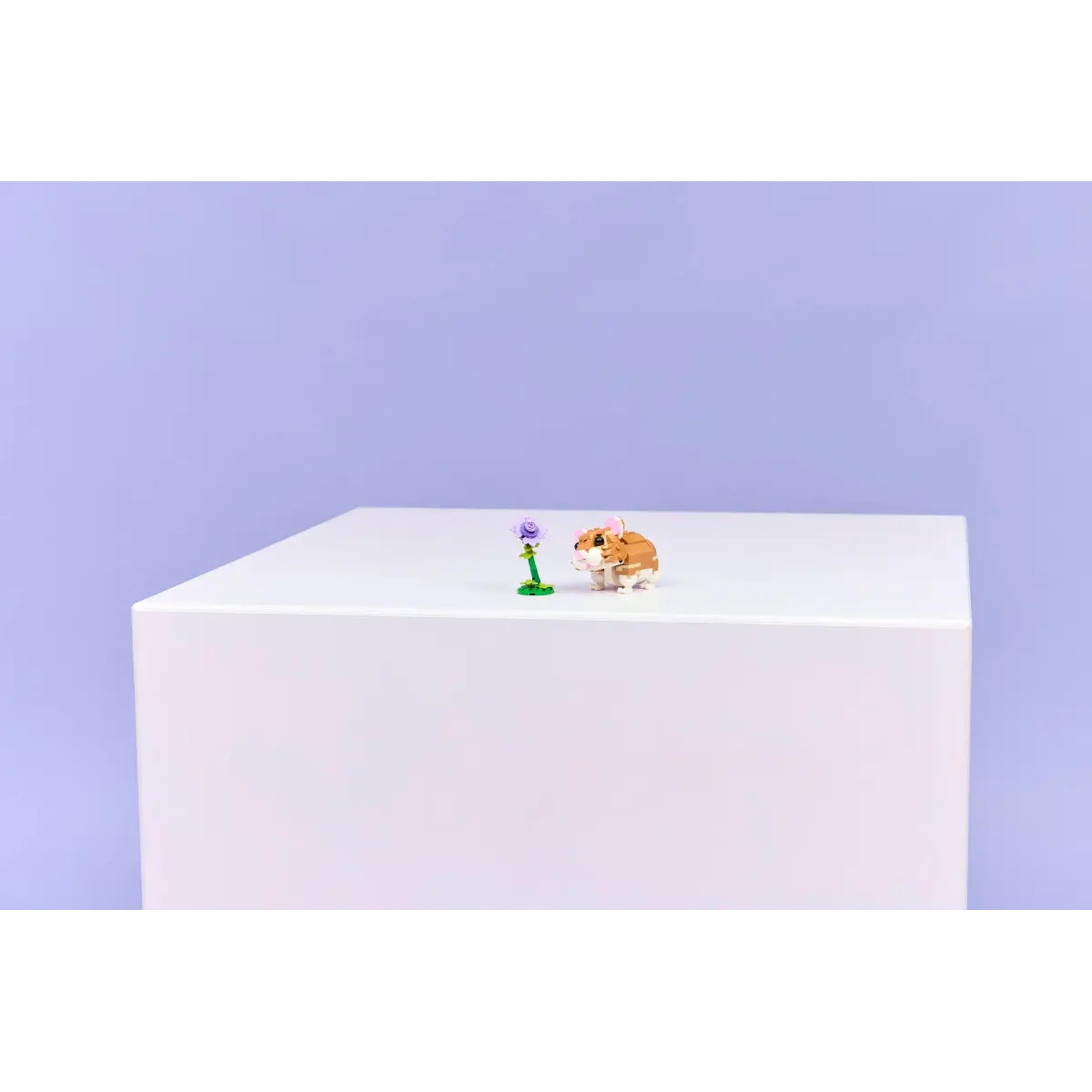 Een speelgoedhamster met een bloem staat op een witte kubus tegen een lichtpaarse achtergrond.