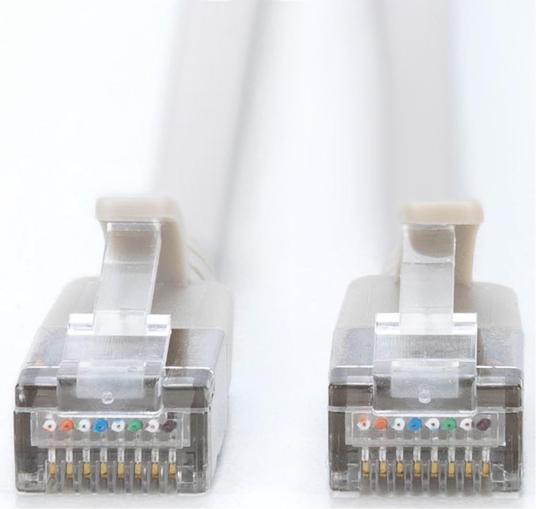 Zwei graue Ethernet-Kabel mit transparenten Kunststoffsteckern. Farbige Drähte sind im Inneren der Stecker sichtbar. Der Hintergrund ist weiß.