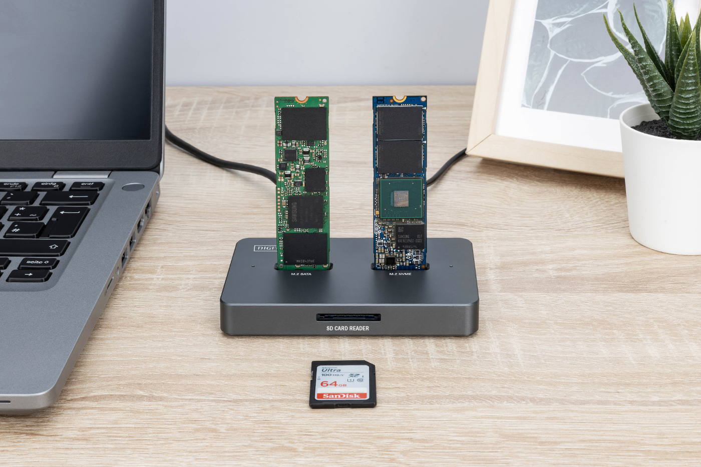 Ein Schreibtisch mit Laptop, Kartenleser, zwei SSDs und einer 64GB SD-Karte. Eine Pflanze in einem weißen Topf im Hintergrund.