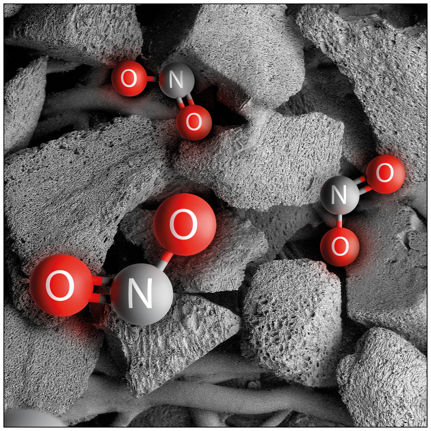 Afbeelding toont moleculen (NO2) in rood en grijs, te midden van poreuze grijze structuren. De NO2-moleculen hebben rode zuurstof en grijze stikstof.