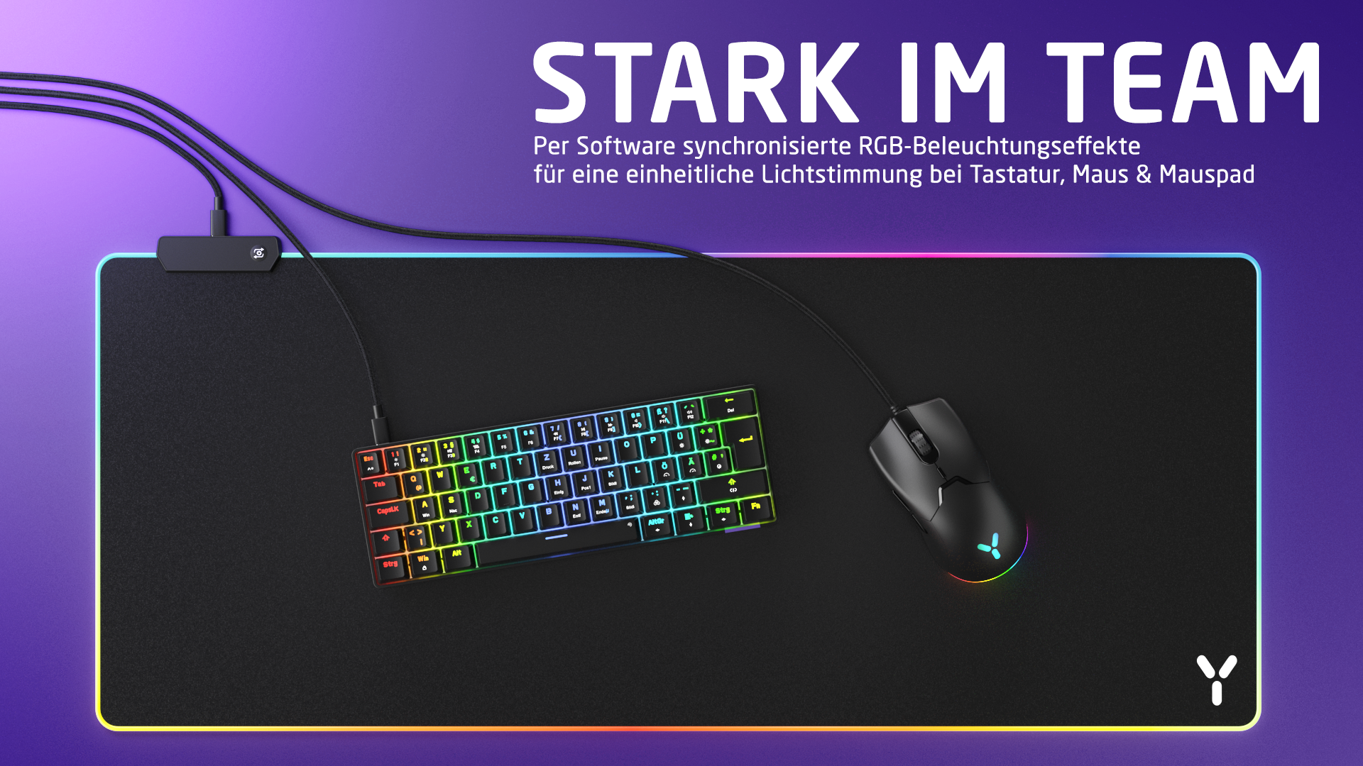 Ein Gaming-Setup mit Tastatur, Maus und Mauspad. Tastatur und Maus haben RGB-Beleuchtung. Text: STARK IM TEAM.