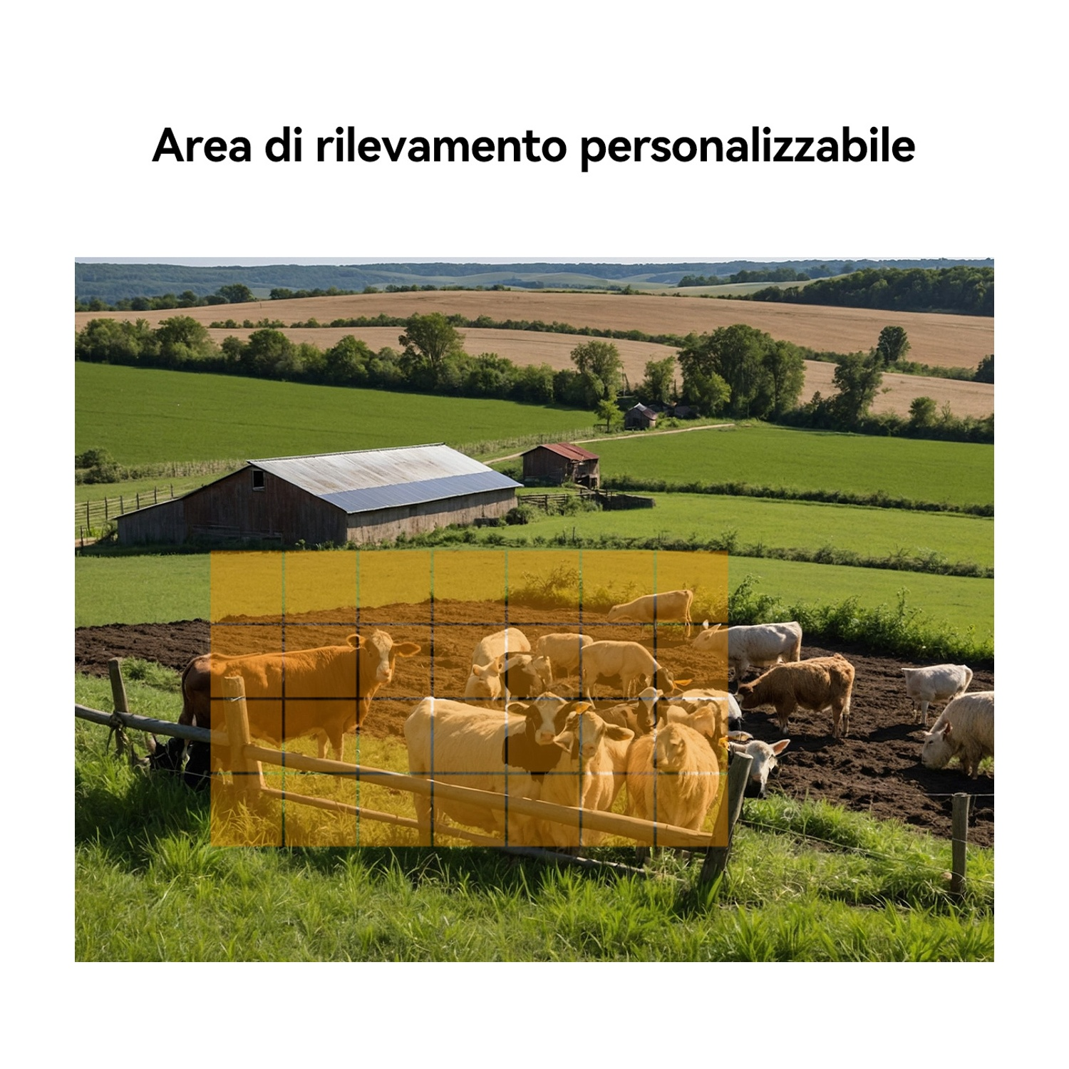 Mucche in un pascolo con un fienile sullo sfondo. Campi verdi e alberi. Le mucche sono marroni, beige e bianche.