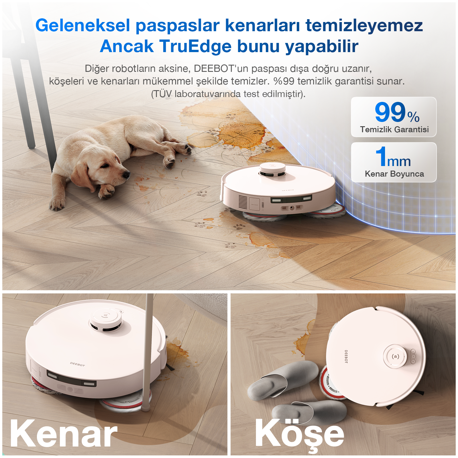 Beyaz bir robot süpürge, bir köpek ve ahşap bir zeminde temizleme yeteneklerini tanıtan metin.