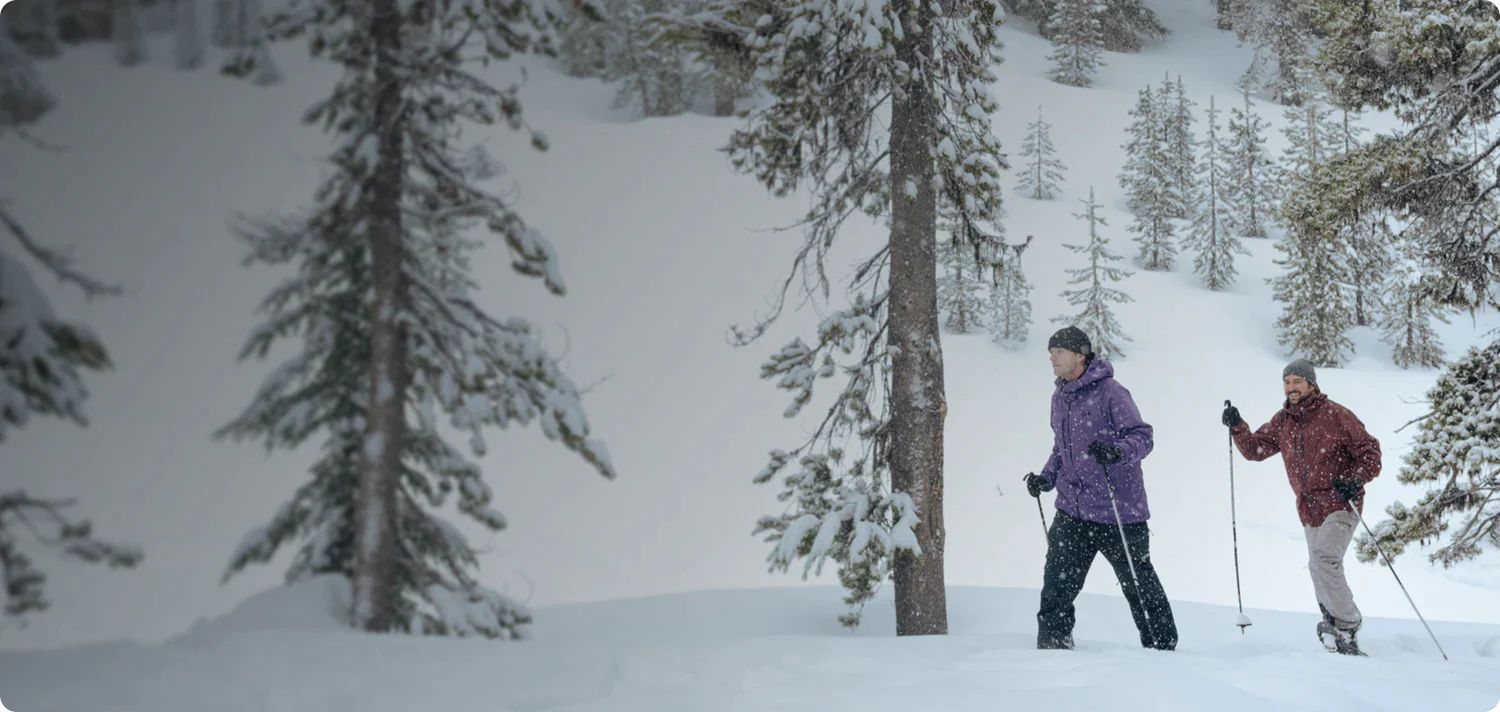 Deux personnes font de la raquette dans une forêt enneigée. L'un porte du violet, l'autre du marron. Arbres et neige.