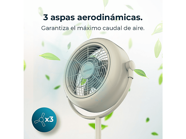 Vista 3