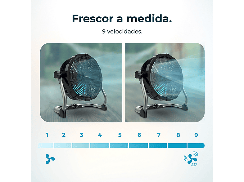 Vista 3