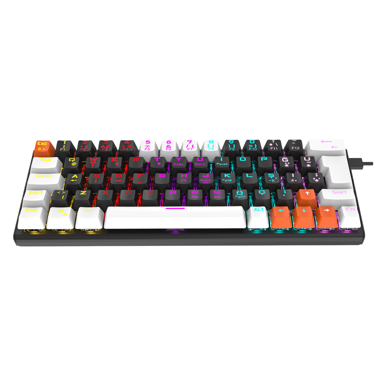 EVEREST Parley Rainbow Aydınlatmalı Türkçe Q Red Switch Mekanik