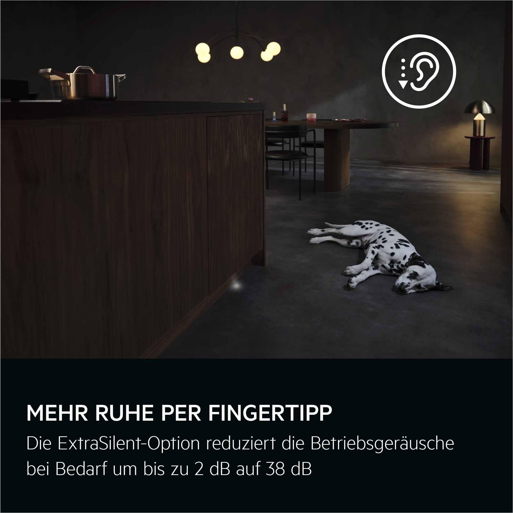 Ein Dalmatiner liegt auf dem Boden. Links eine Küchenzeile, rechts ein Essbereich. Oben ein Ohr-Symbol.