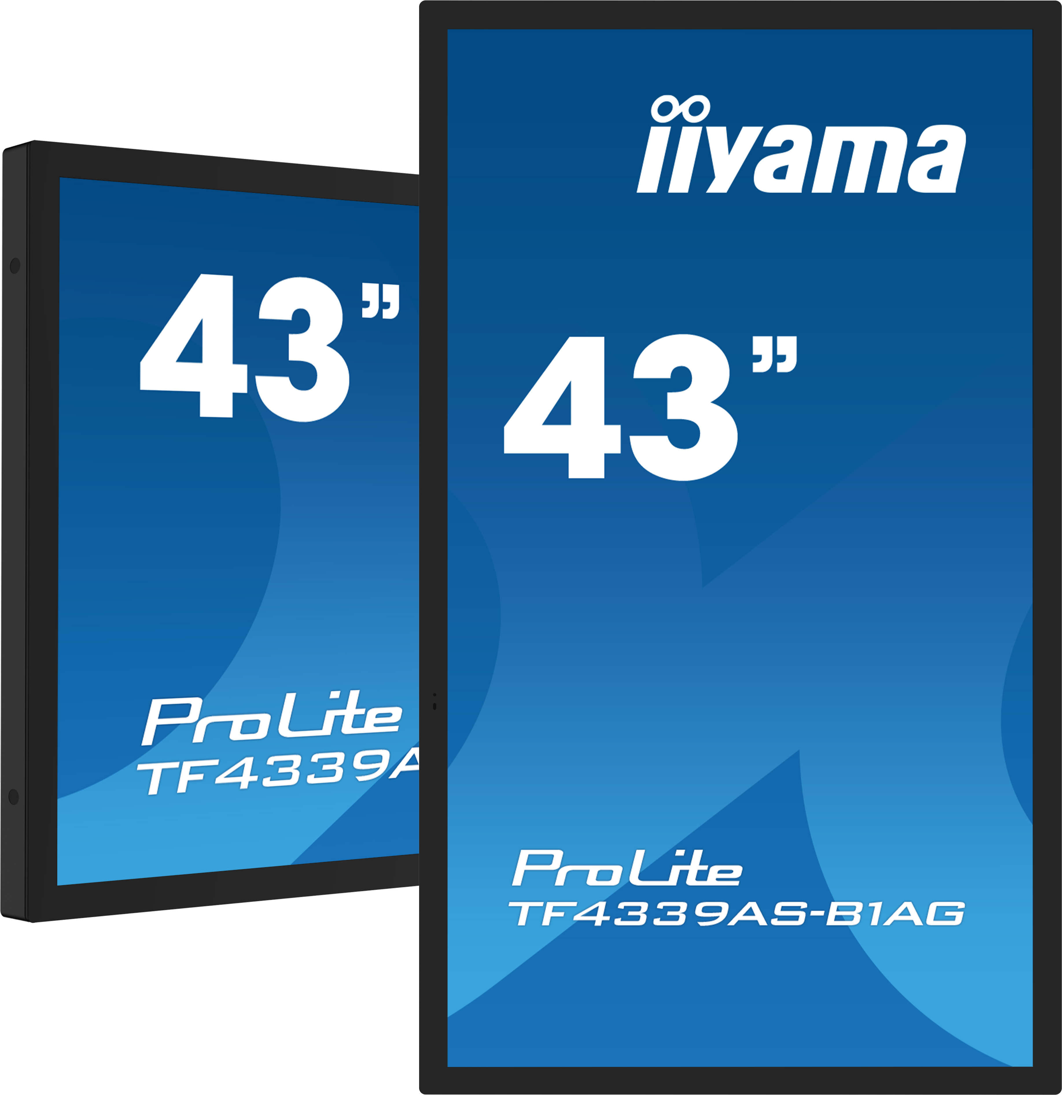 Zwei 43-Zoll-iiyama-Monitore, einer vorne, einer leicht versetzt.