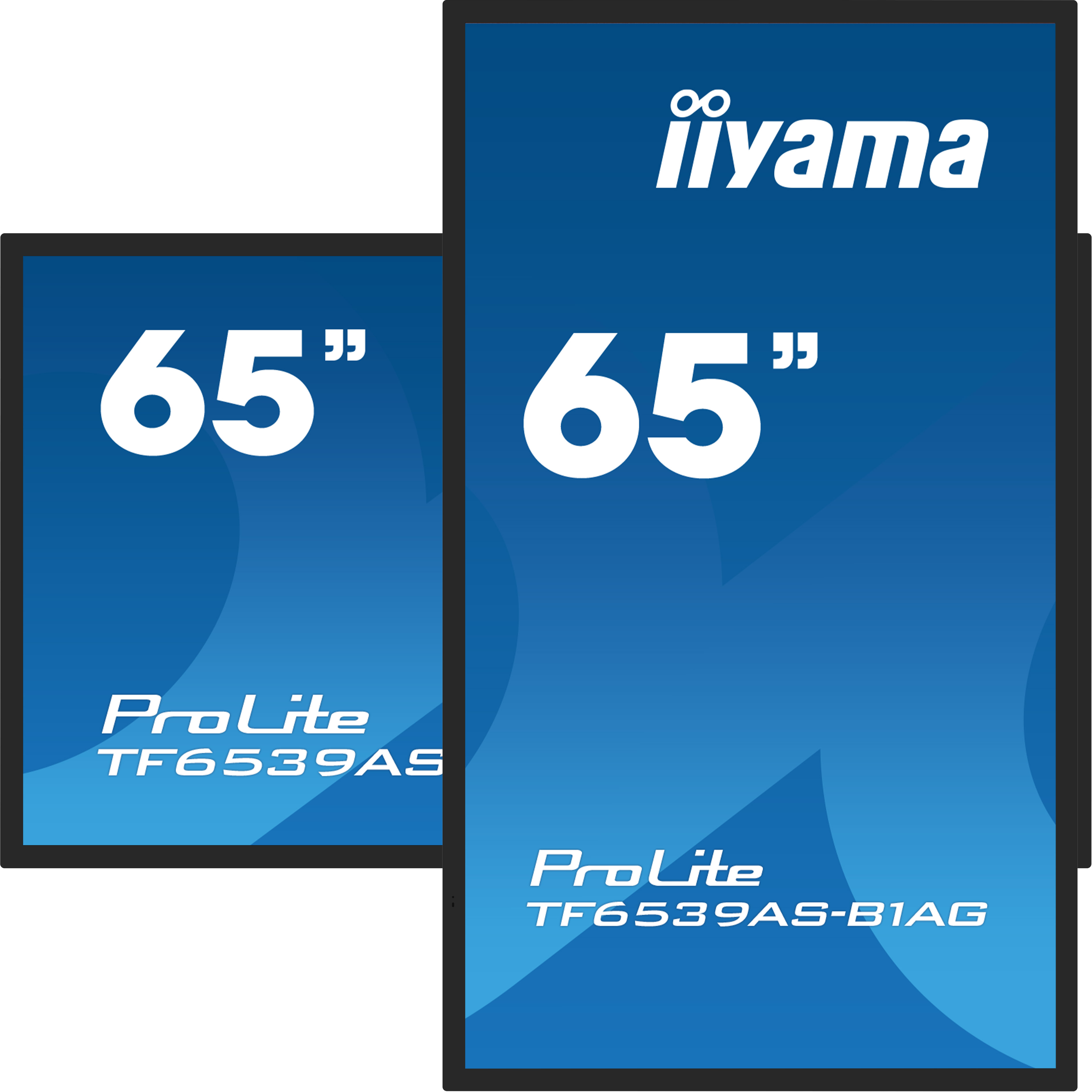 Zwei Iiyama ProLite 65" Bildschirme nebeneinander mit blauem Farbverlauf.