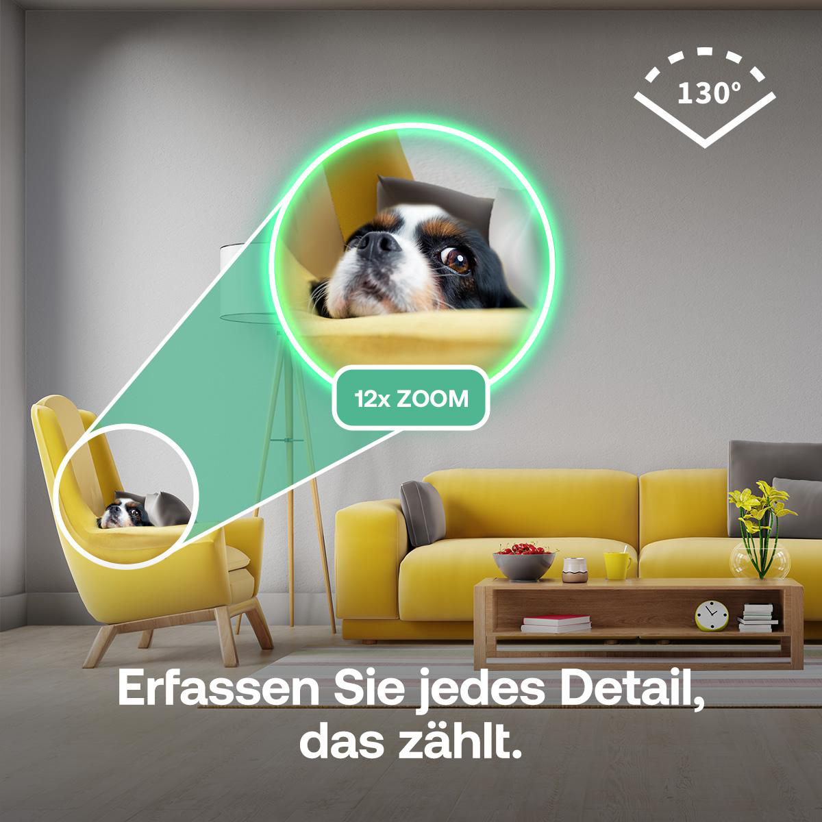 Ein Hund lugt aus einem gelben Sessel, eine Zoomansicht zeigt Details.