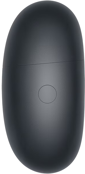 Un étui de chargement ovale et sombre avec un seul bouton circulaire.