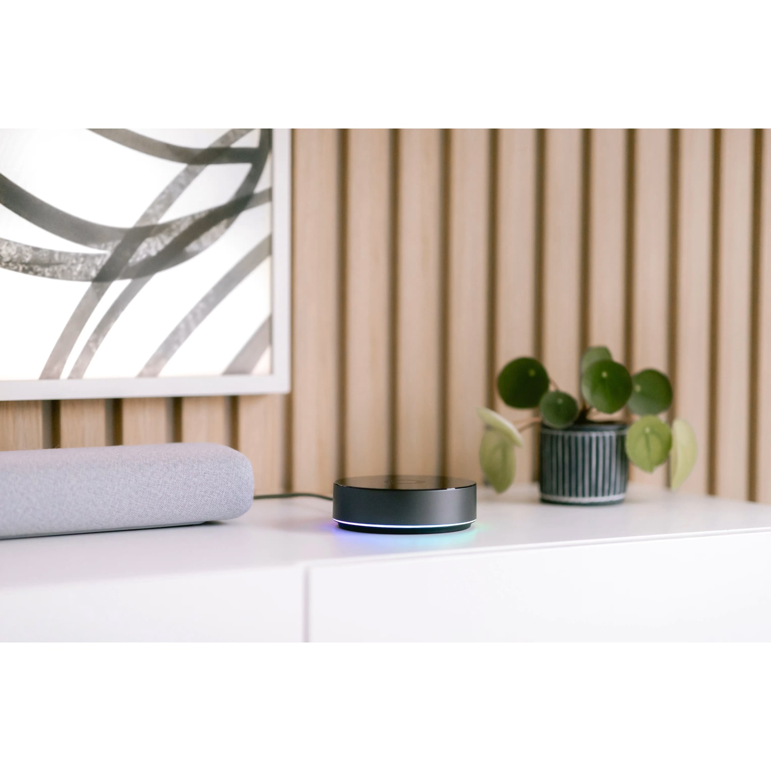 A black smart speaker with blue light sits on a white shelf next to a plant.