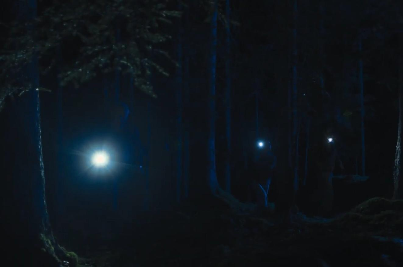 Zwei Personen mit Taschenlampen in einem dunklen Wald bei Nacht, umgeben von Bäumen.