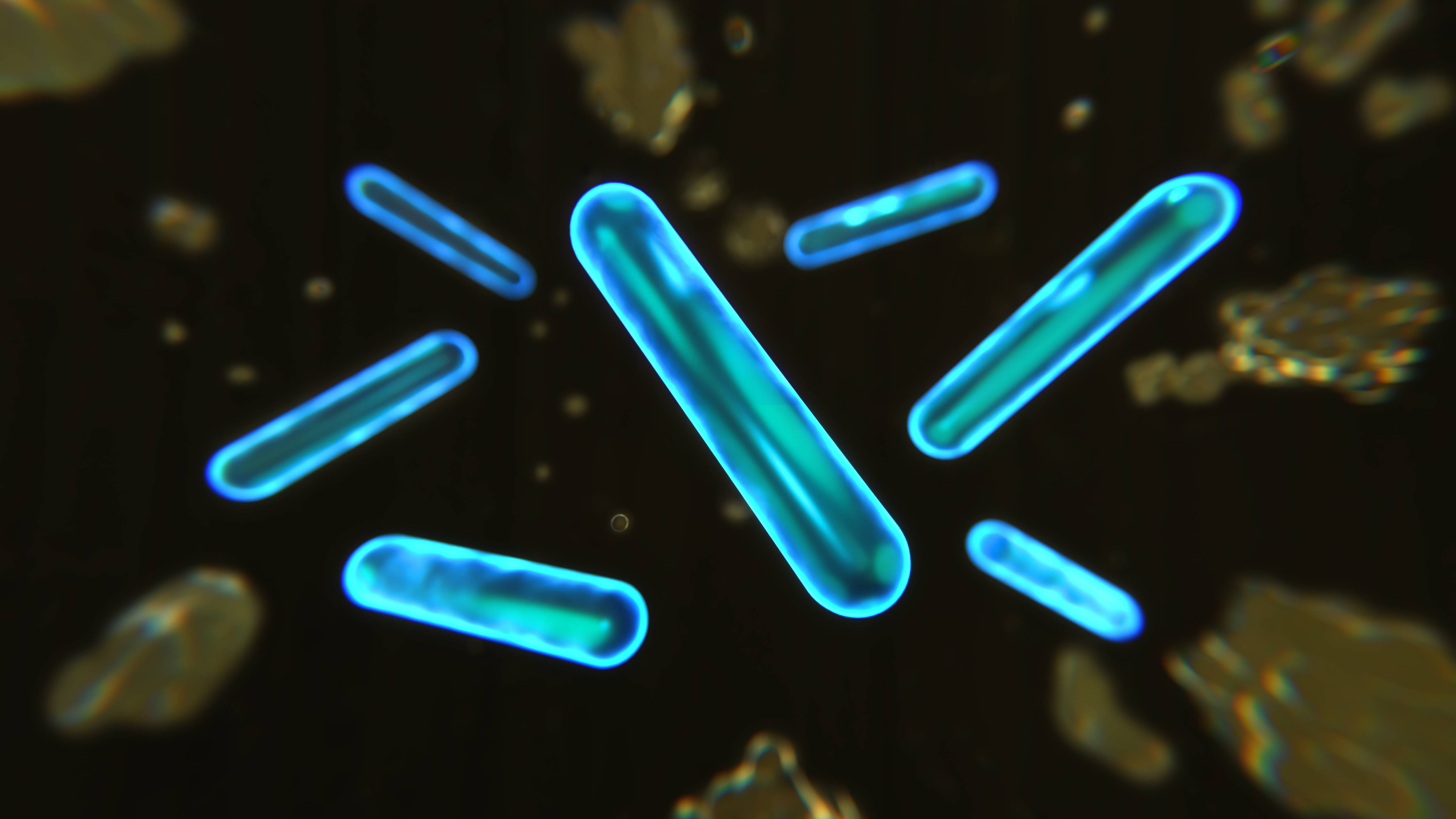 Bacterias azules en forma de bastón con bordes brillantes flotan en espacio oscuro con escombros.