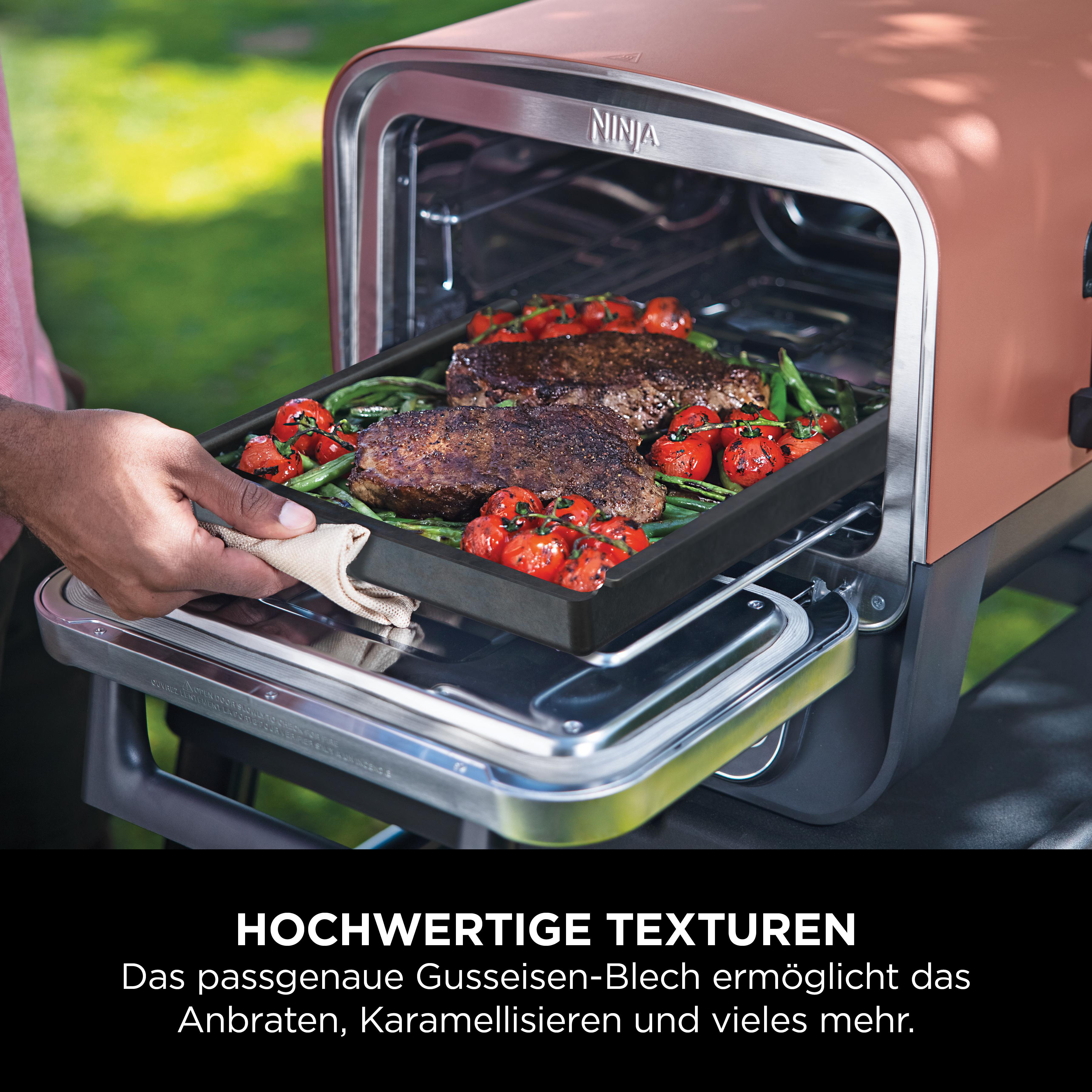 Ein Mann hält ein Blech mit zwei Steaks, grünen Bohnen und Tomaten in einem Ninja-Ofen.