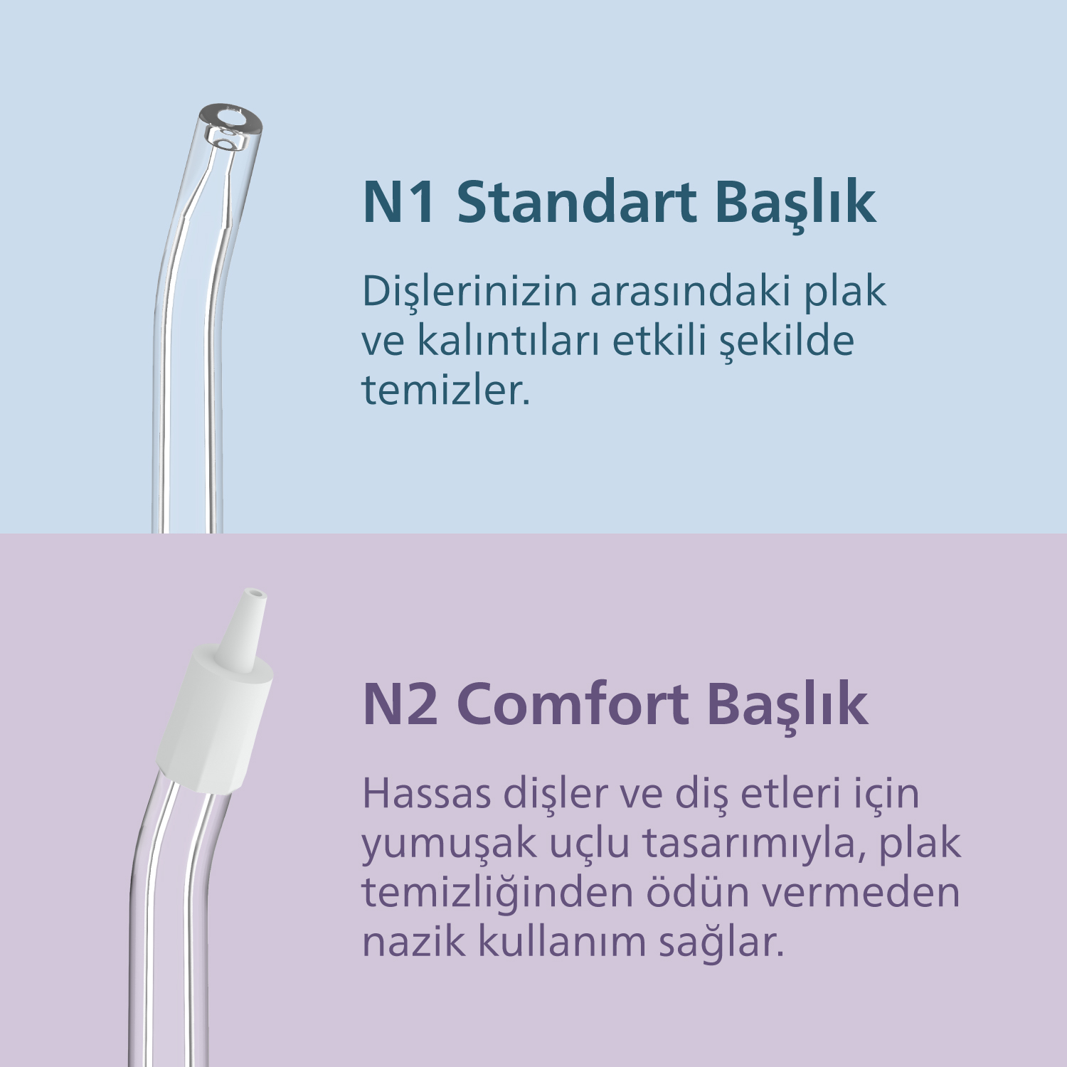 İki ağız duşu başlığı: etkili temizlik için standart ve hassas diş etleri için konforlu.