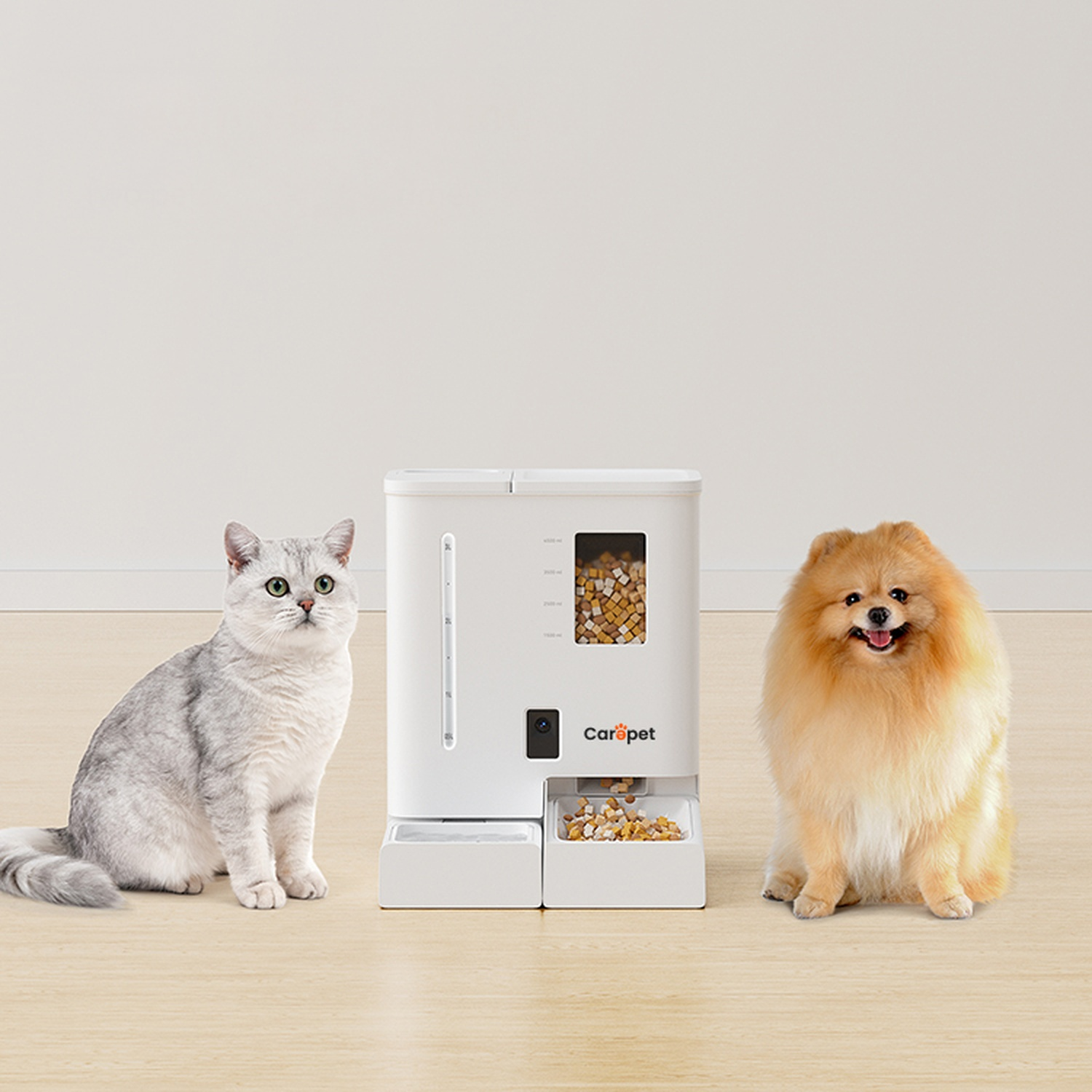 Un gatto bianco e un Pomerania siedono accanto a un distributore di cibo.
