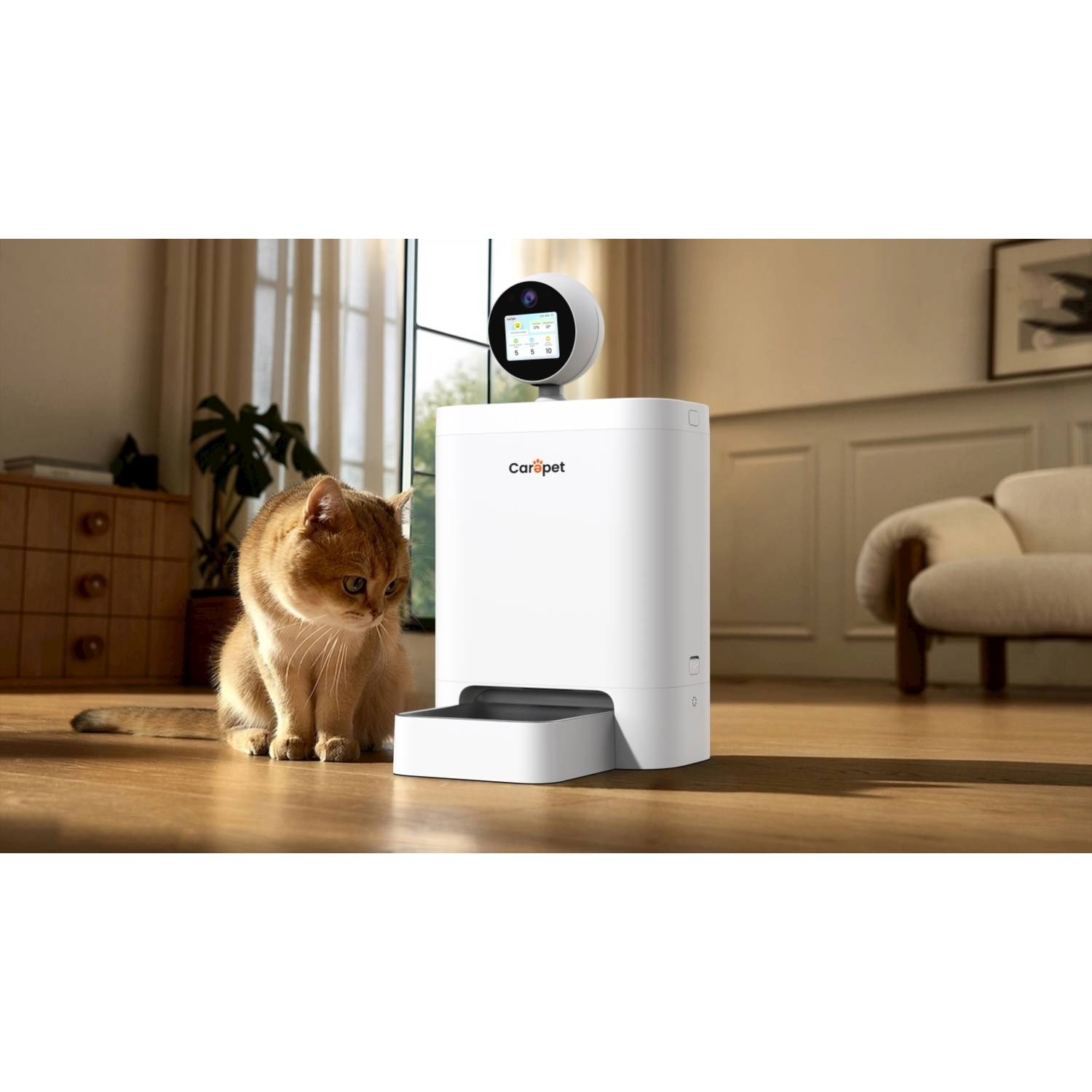 Un gatto siede accanto a un distributore automatico bianco per animali con telecamera.