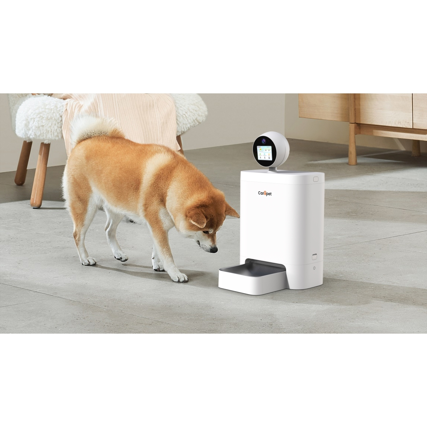Un cane Shiba Inu annusa una mangiatoia automatica bianca con telecamera.