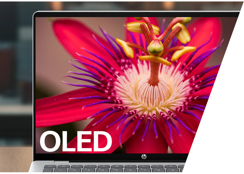 A laptop screen displays a red and purple passion flower. The word OLED is prominently shown.