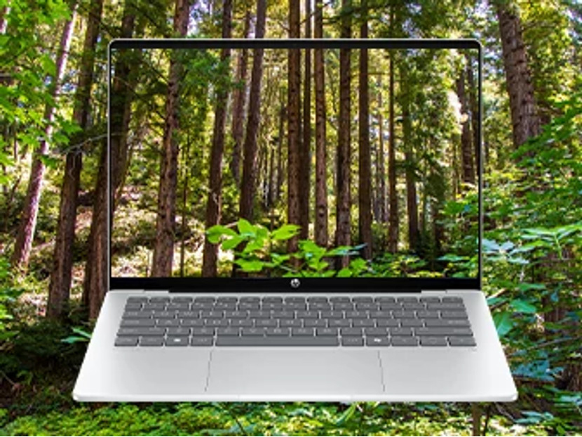 An open laptop sits in front of a forest with tall trees.