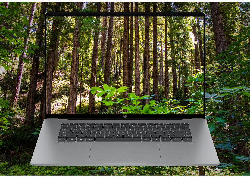 A laptop displays a forest scene with tall trees and green foliage.