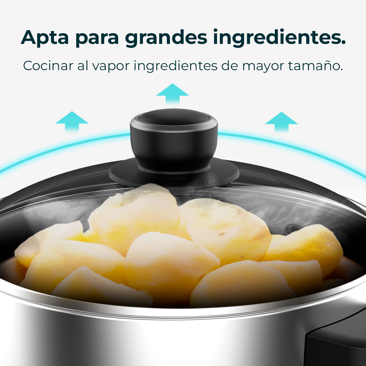 Olla humeante de patatas bajo tapa de cristal con flechas