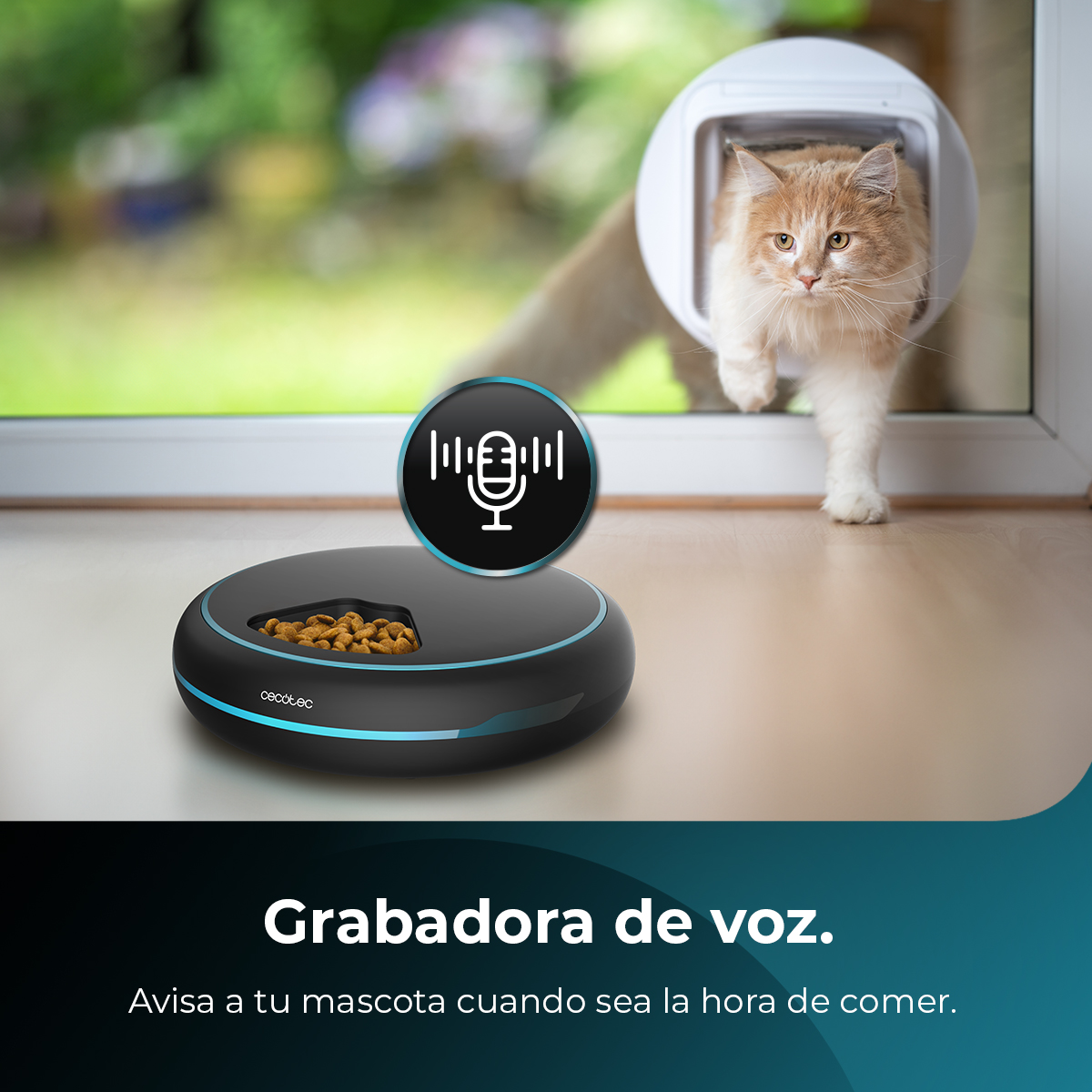 Un gato naranja sale por una gatera, con un dispensador de comida delante.