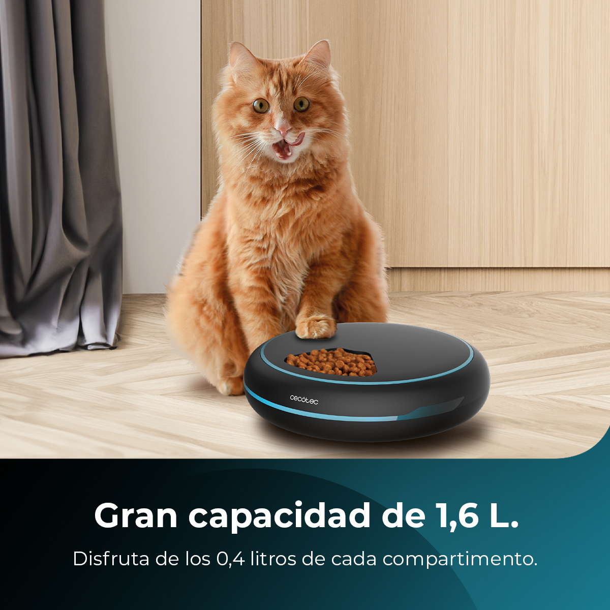 Un gato naranja se lame los labios frente a un cuenco de comida seca.