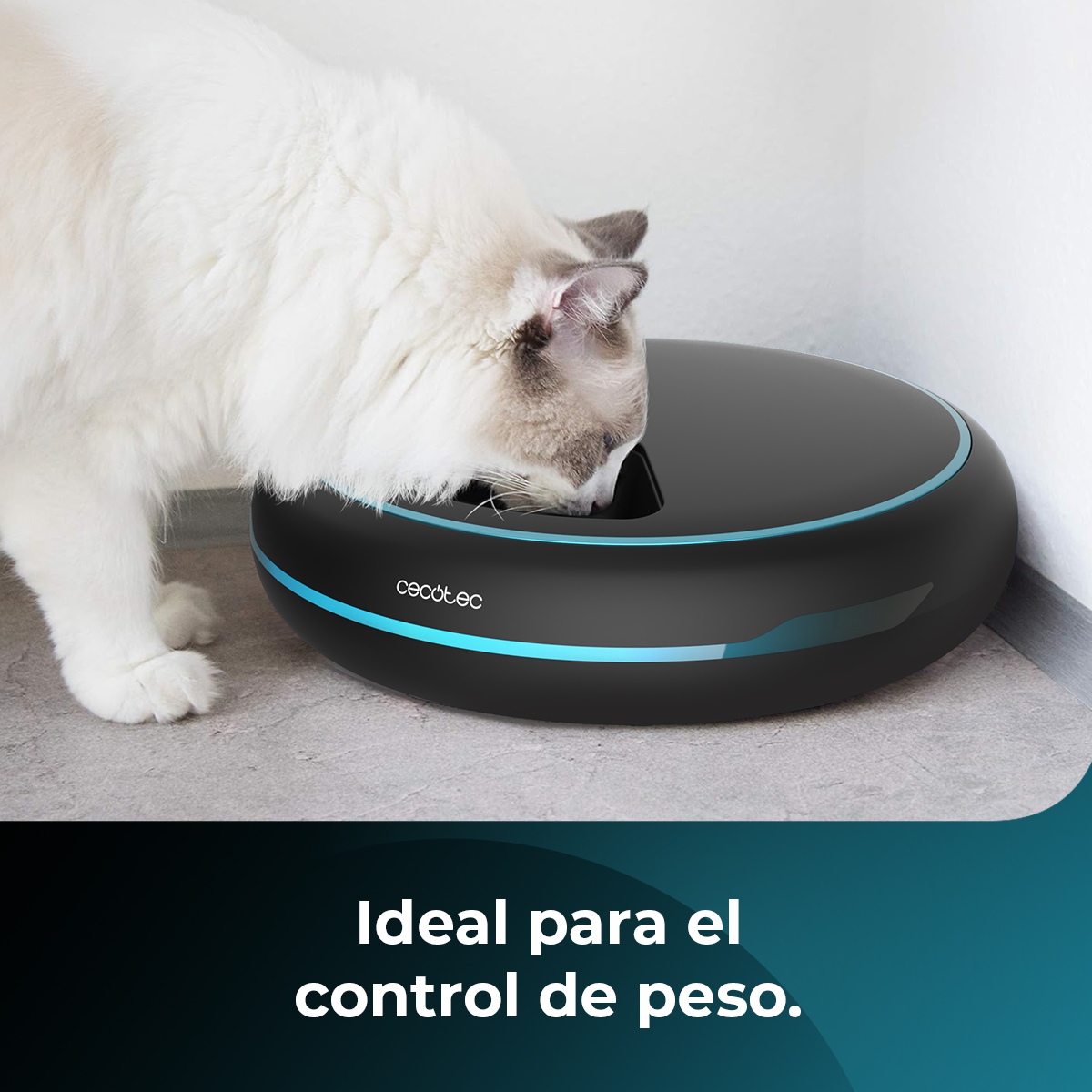 Un gato come de un comedero automático negro con luz azul.