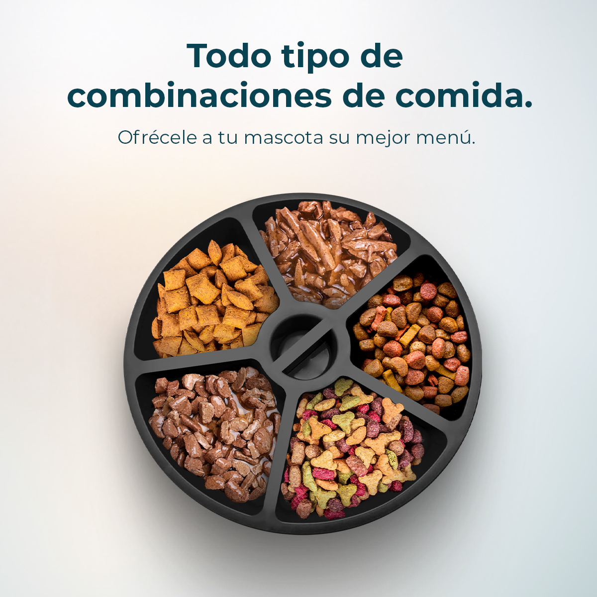 Recipiente negro dividido con cinco tipos de comida para mascotas.