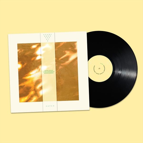Schwarze Schallplatte neben einer Albumhülle mit goldenem Muster.