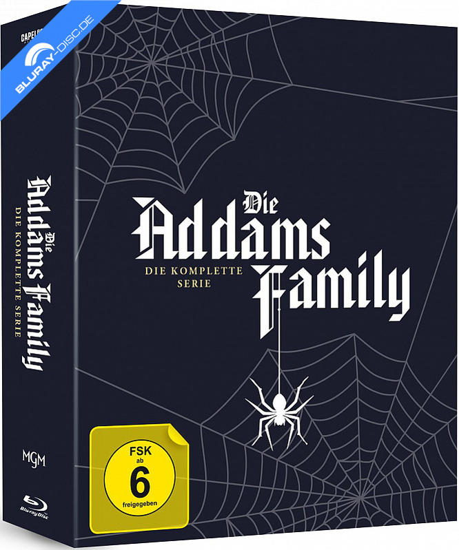 Die Addams Family Blu-ray Box mit Spinnennetz und FSK 6 Siegel.