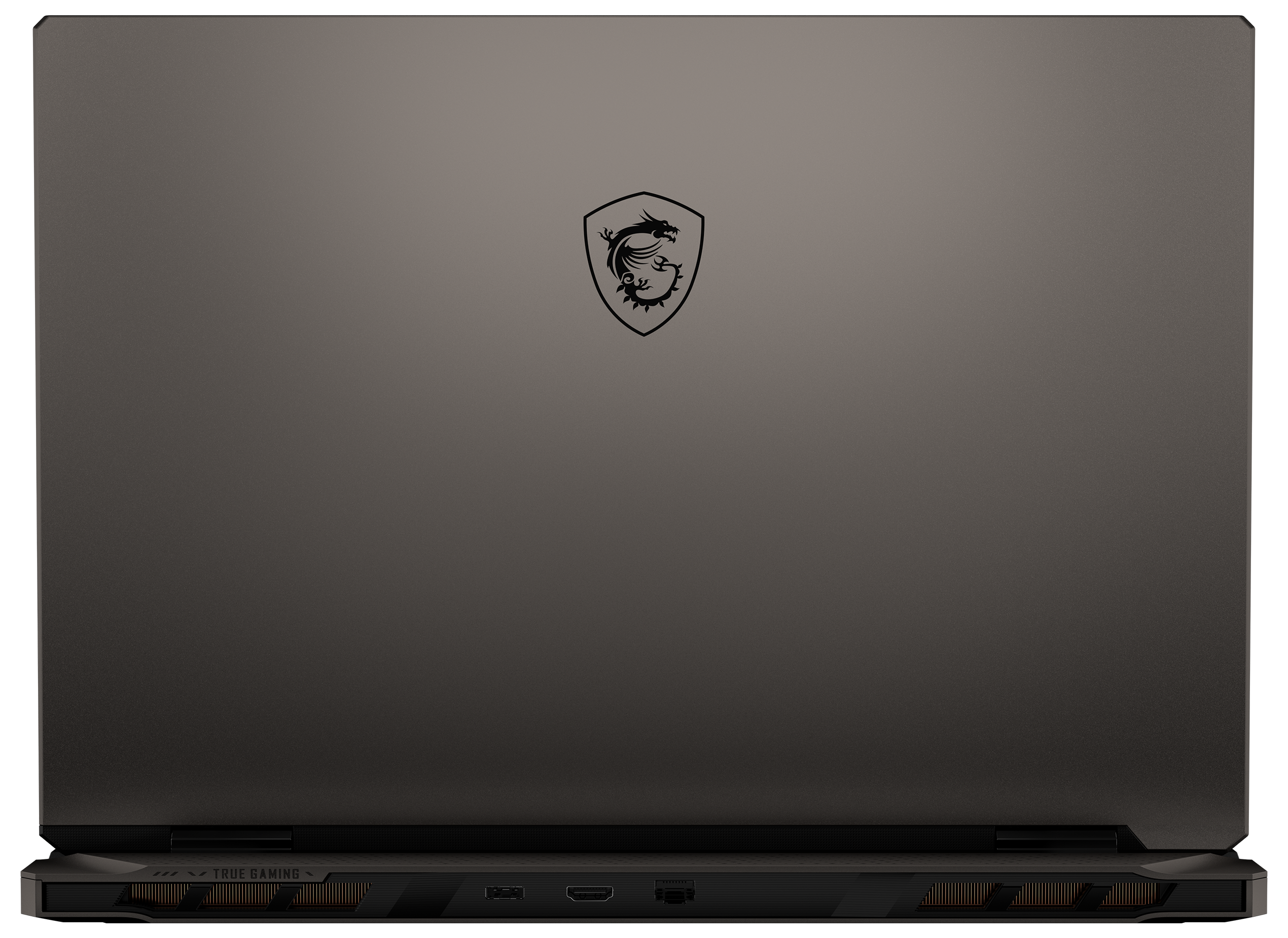 Geschlossener grauer Laptop mit schwarzem Drachenwappen auf dem Deckel.