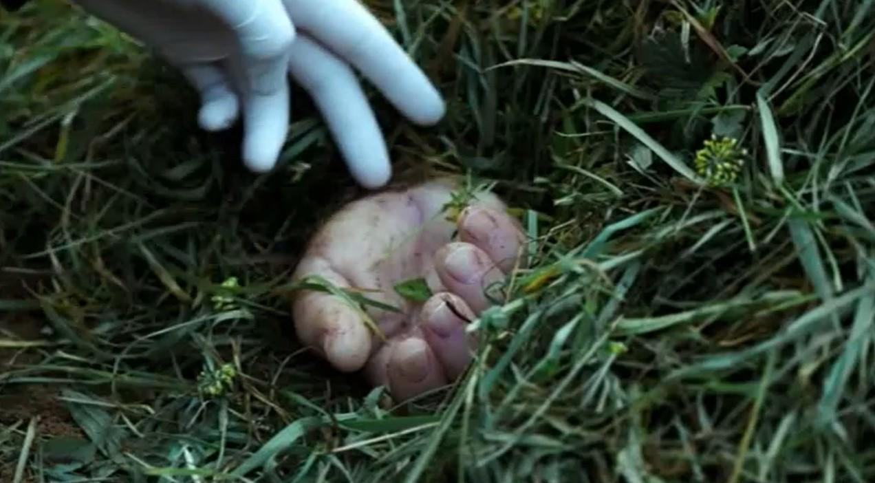 Eine behandschuhte Hand berührt eine Hand, die im Gras liegt.