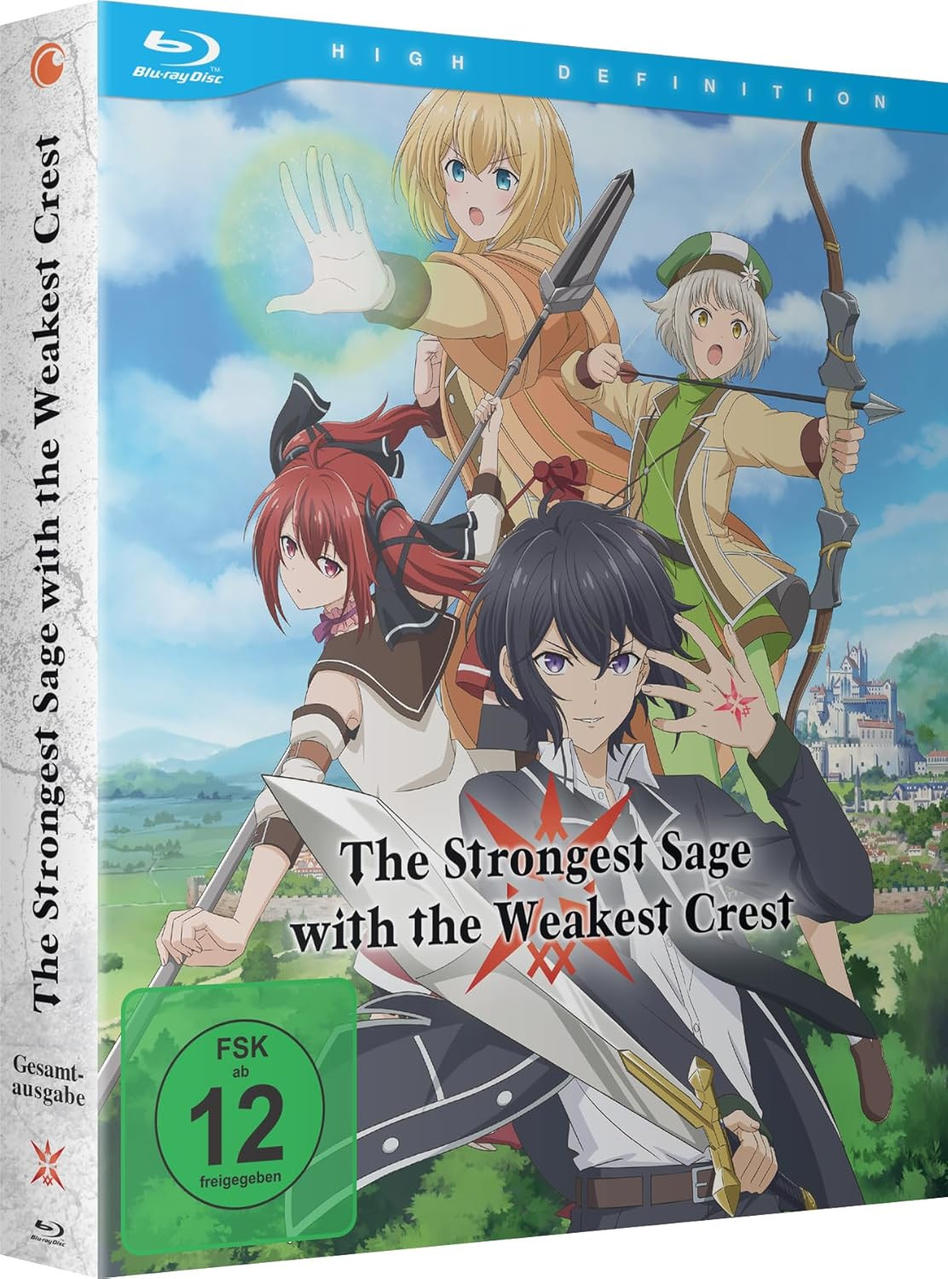 Anime-Cover mit 4 Charakteren, davon 2 mit Waffen, vor einer Stadt.