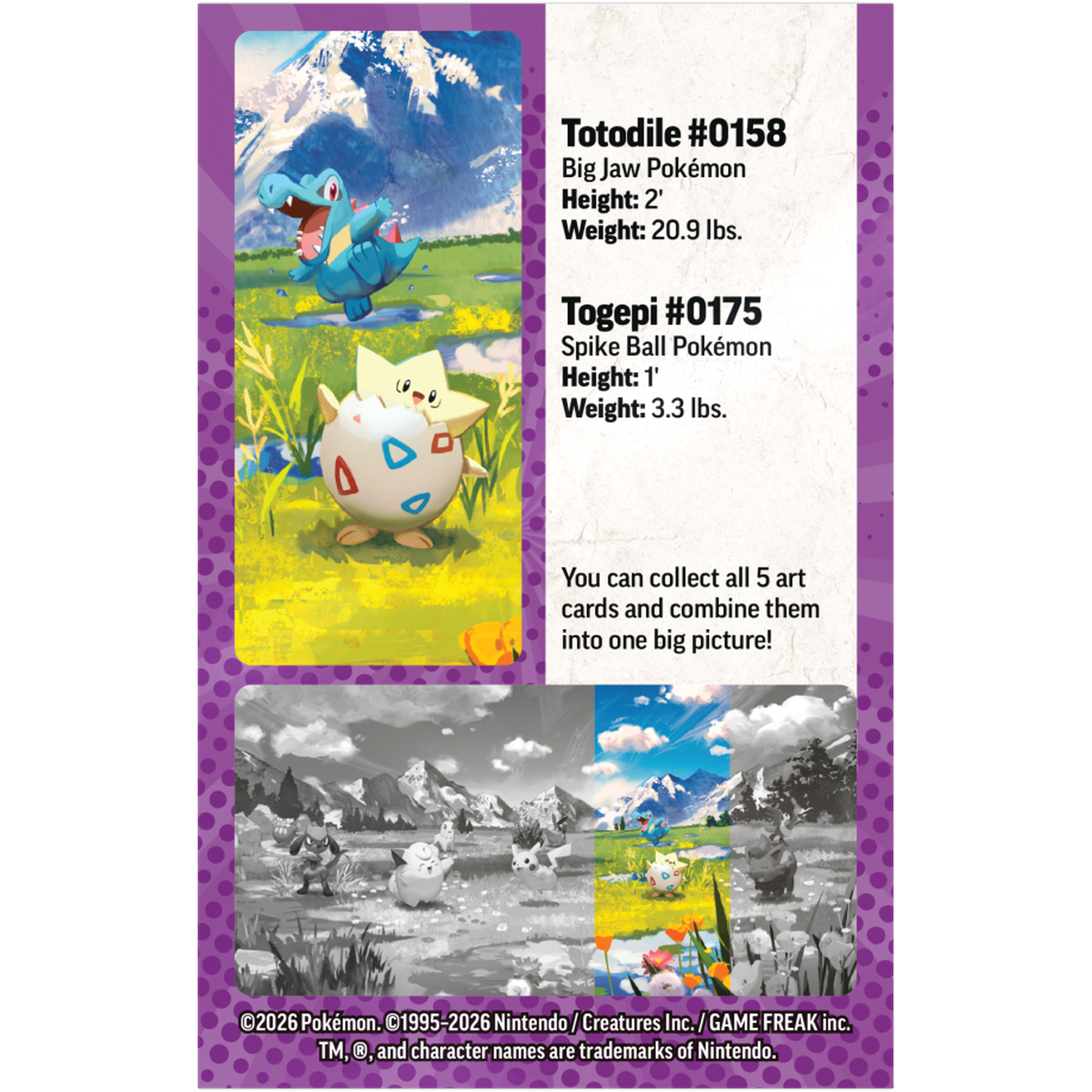 Totodile en Togepi Pokémon kaarten met beschrijving en artwork.